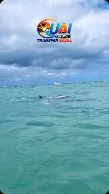 Encounters with nature — Uai Transfer Natal Instagram post